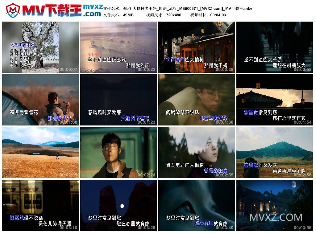 张羽-大榆树老干妈_国语_流行_ME500671